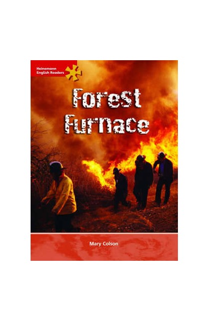 Forest Furnace