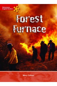 Forest Furnace
