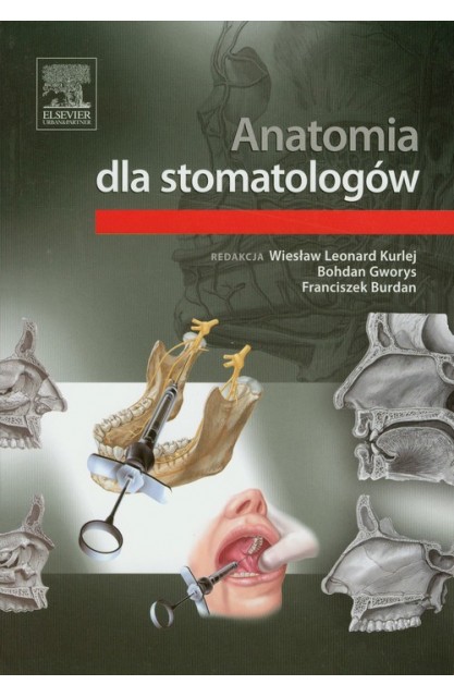 Anatomia dla stomatologów