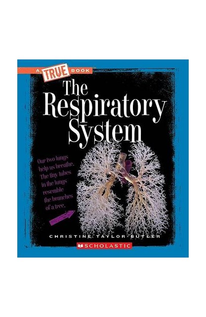 The Respiratory System