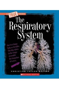 The Respiratory System