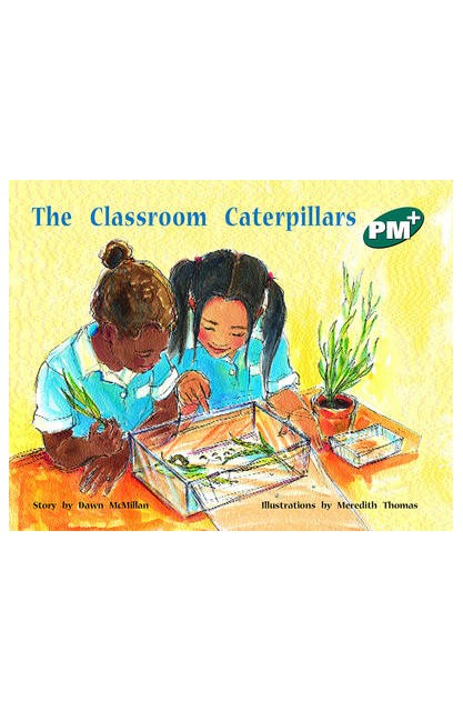 The Classroom Caterpillars...