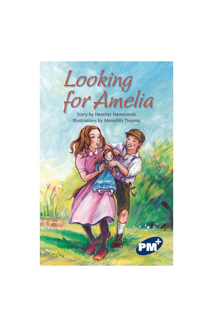 Looking for Amelia PM Plus...