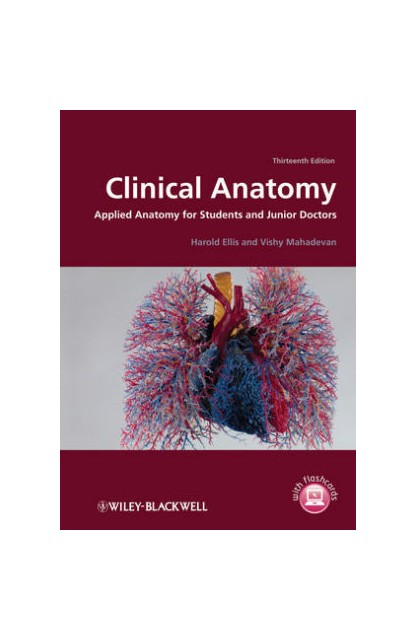 Clinical Anatomy