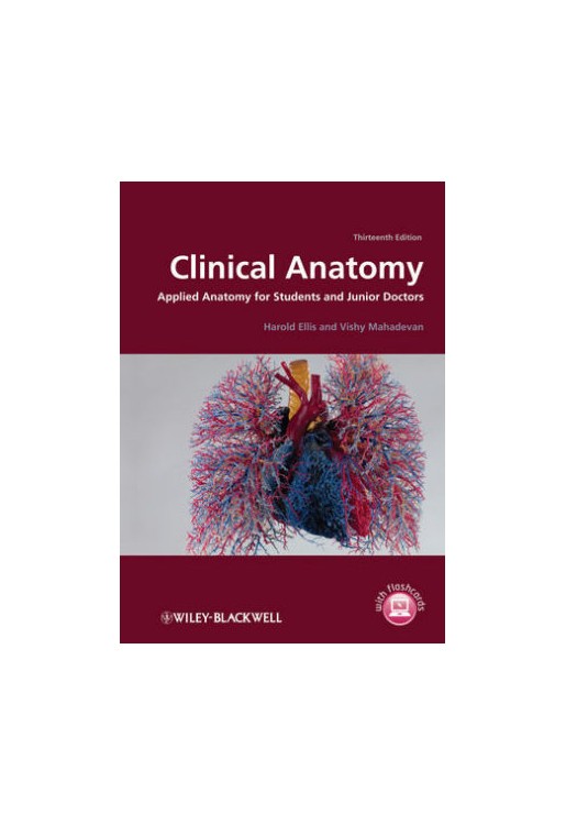 Clinical Anatomy