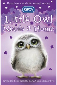 Little Owl Needs A Home