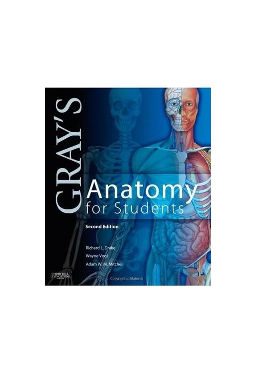 Gray's Anatomy for Students International Edition, 3rd Edition
