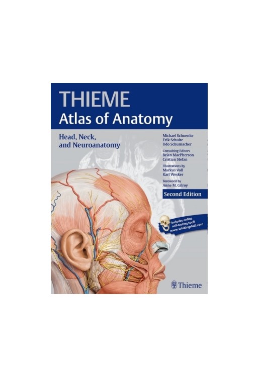 Head, Neck, and Neuroanatomy