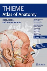 Head, Neck, and Neuroanatomy