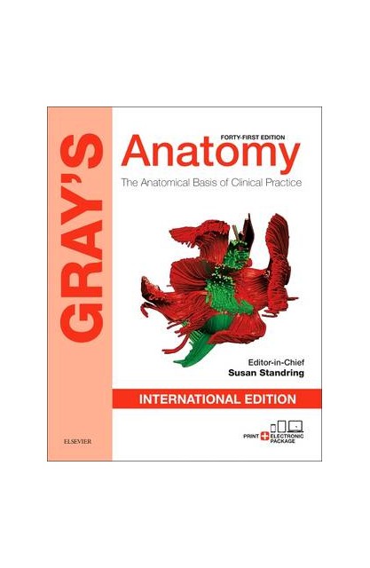 Gray's Anatomy...