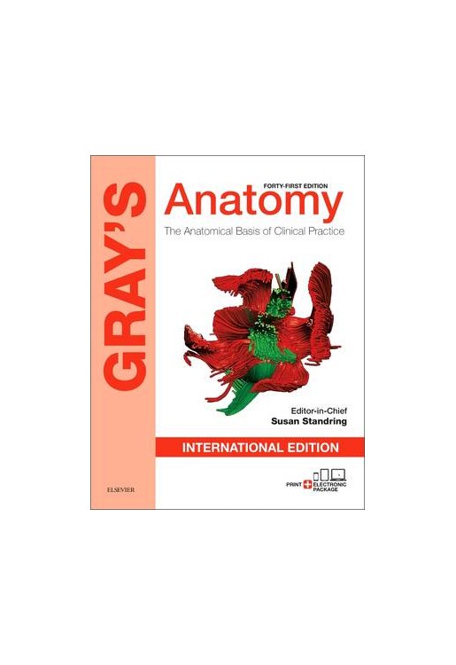 Gray's Anatomy International Edition, 41st Edition