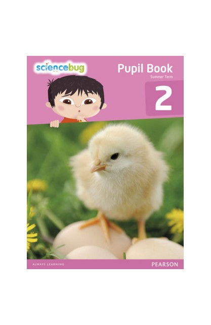 Science Bug Pupil Book Year 2