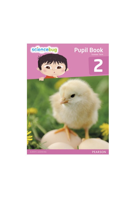 Science Bug Pupil Book Year 2