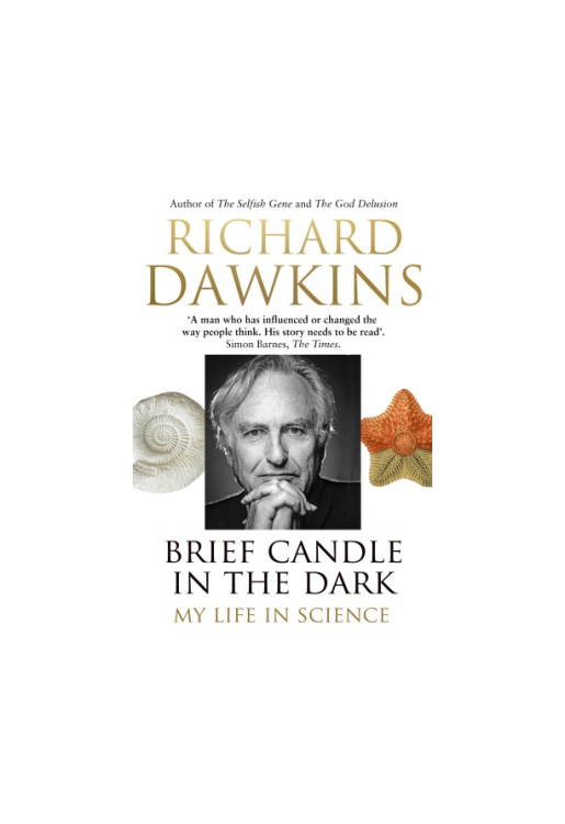 Brief Candle in the Dark
