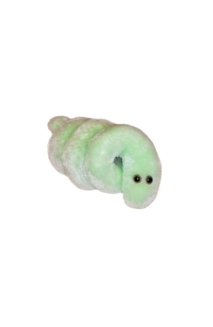 Lyme Disease (Borelioza)