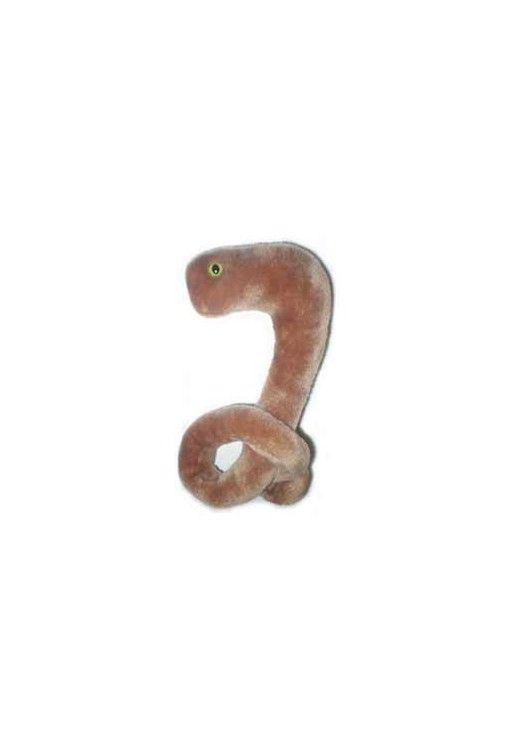 Ebola