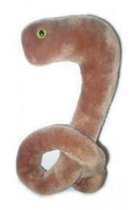 Ebola