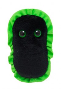 Gangrene (Gangrena)