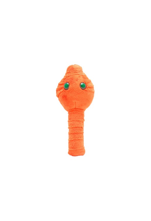 Botulism (Jad kiełbasiany)