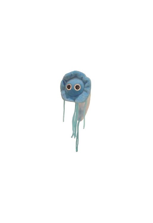 Giardia (Lamblia)