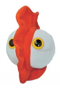 Chickenpox (Ospa wietrzna)