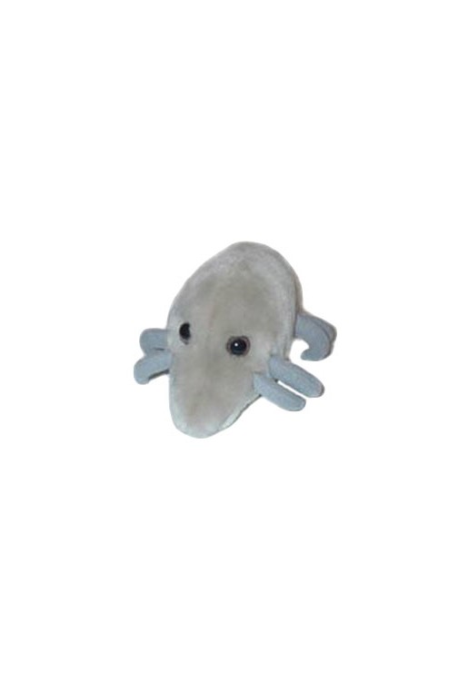 Dust Mite (Roztocze)