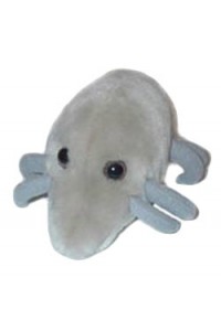 Dust Mite (Roztocze)