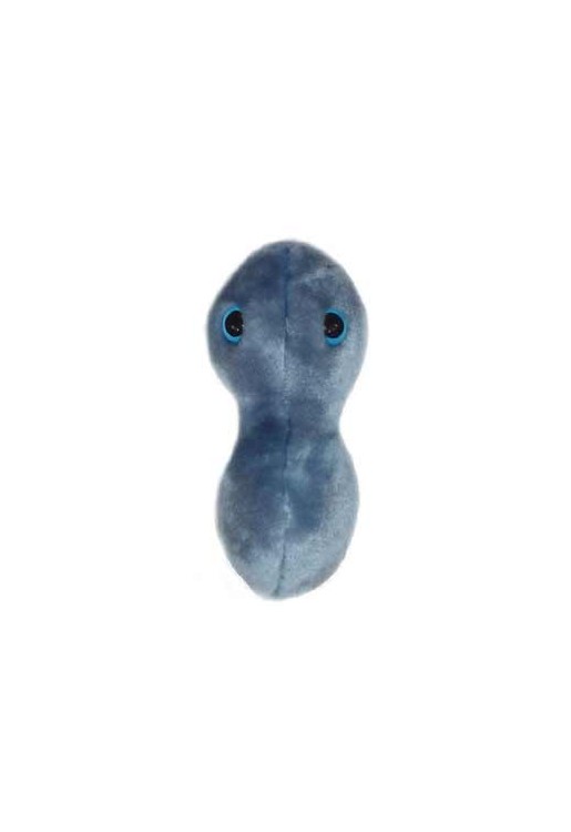 Clap - Gonorrhea (Rzeżączka)