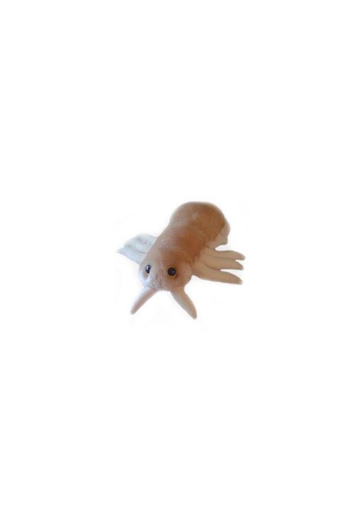 Louse (Wesz)