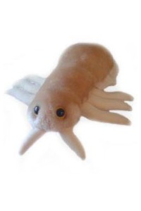 Louse (Wesz)