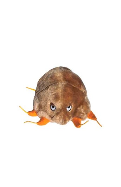 Mange (Świerzbowiec)