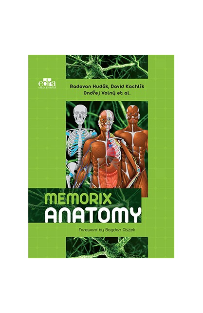 Memorix Anatomy