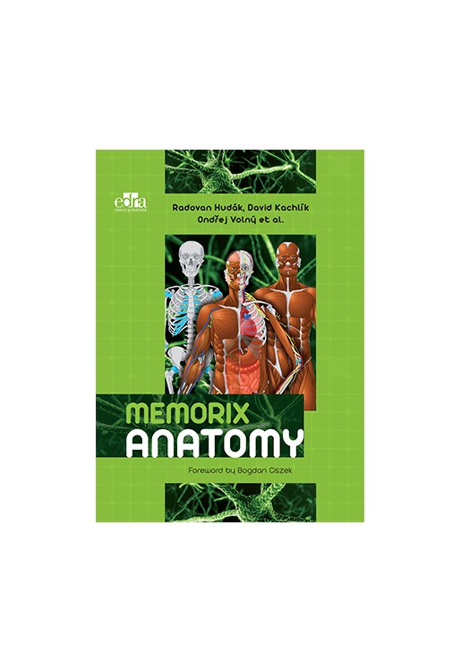 Memorix Anatomy