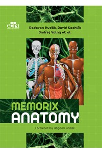 Memorix Anatomy