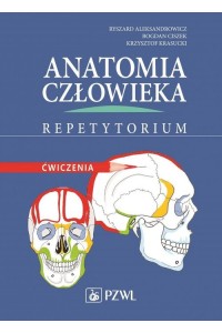 Anatomia człowieka Repetytorium Ćwiczenia