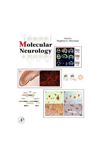 Molecular Neurology