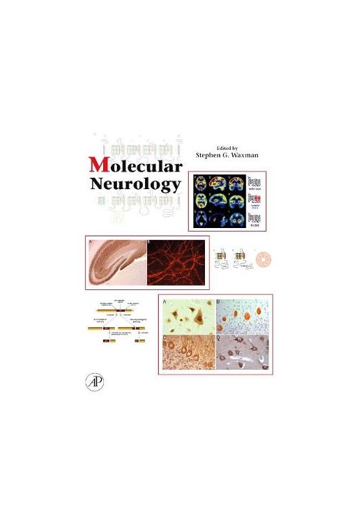 Molecular Neurology