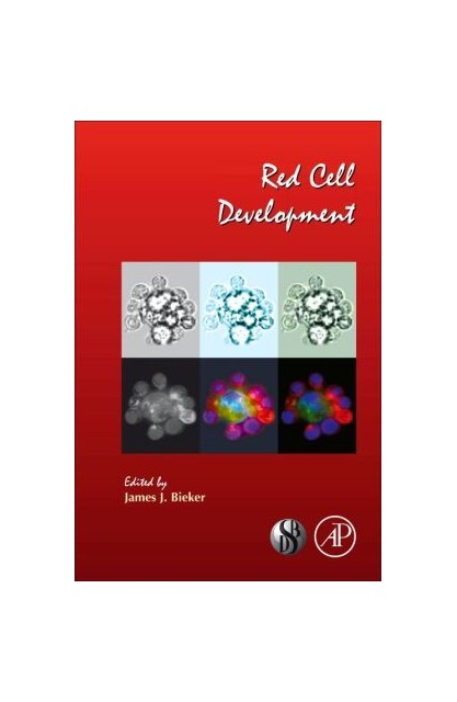 Red Cell Development v82