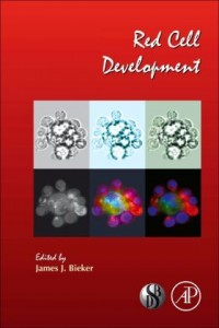 Red Cell Development v82