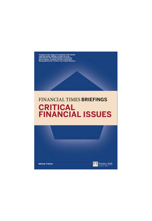Financial Times Briefing Critical Financial Issues