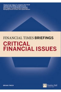Financial Times Briefing Critical Financial Issues