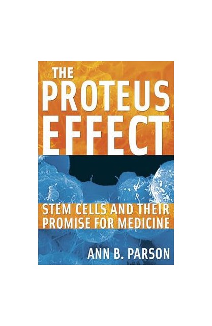 Proteus Effect