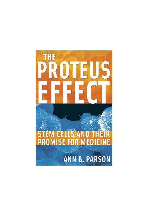 Proteus Effect