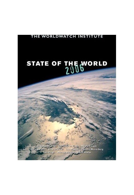 State of the World 2006