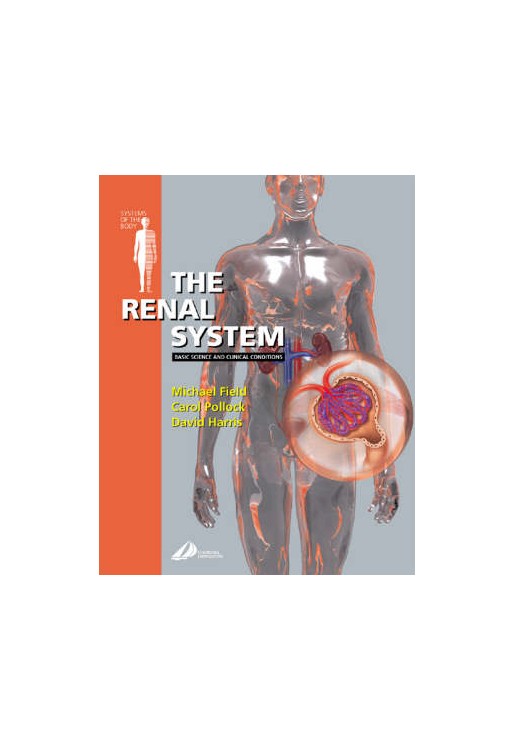 Renal System