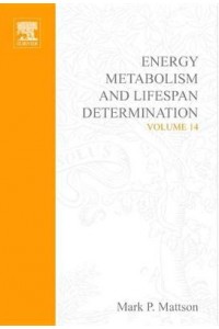 Energy Metabolism & Lifespan Determination