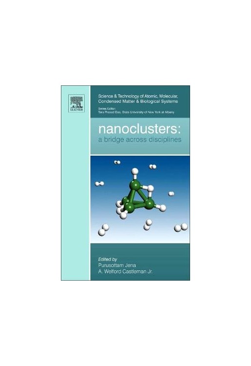 Nanoclusters A Bridge across Disciplines
