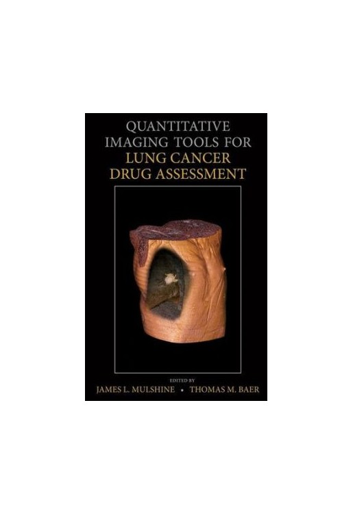 Quantitative Imaging Tools for Lung Cancer Drug Assessment