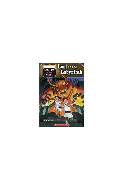 Lost in the Labyrinth