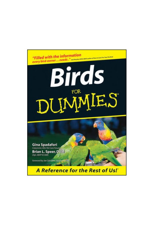 Birds for Dummies